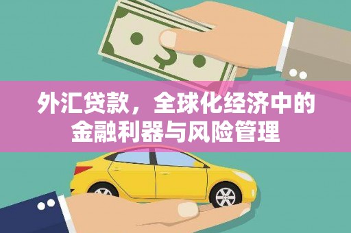 定陶外汇贷款，全球化经济中的金融利器与风险管理