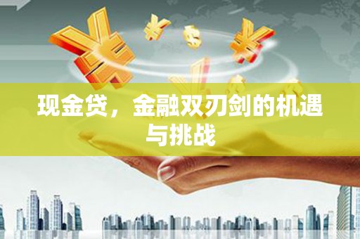 定陶现金贷，金融双刃剑的机遇与挑战