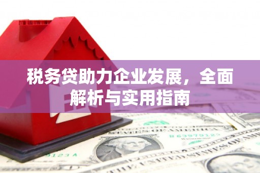 定陶税务贷助力企业发展，全面解析与实用指南