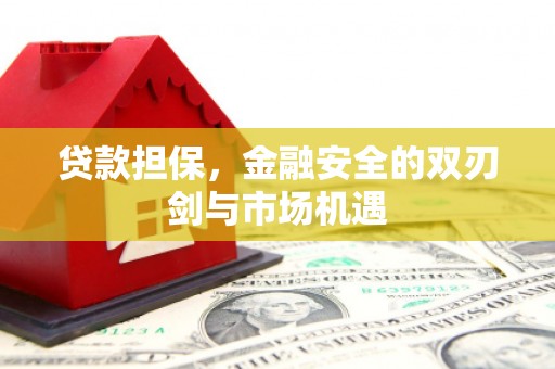 定陶贷款担保，金融安全的双刃剑与市场机遇