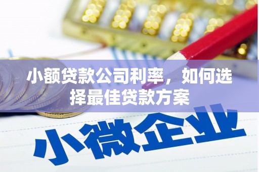 定陶小额贷款公司利率，如何选择最佳贷款方案