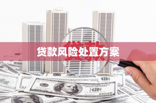 定陶贷款风险处置方案