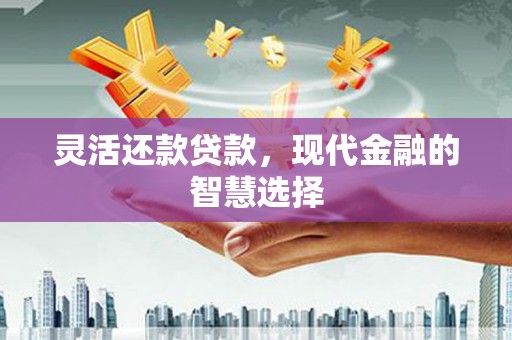 定陶灵活还款贷款，现代金融的智慧选择