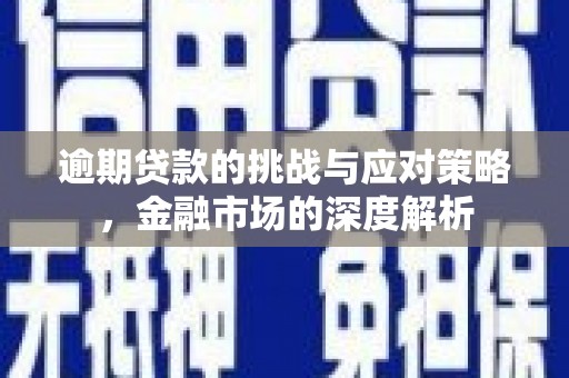 定陶逾期贷款的挑战与应对策略，金融市场的深度解析