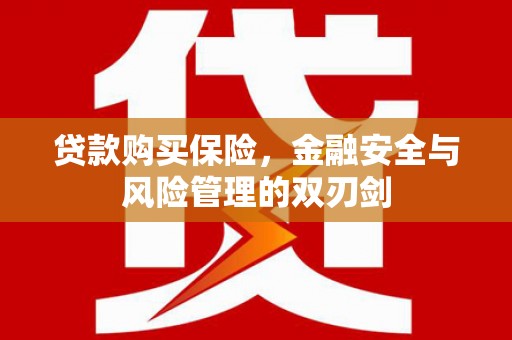 定陶贷款购买保险，金融安全与风险管理的双刃剑