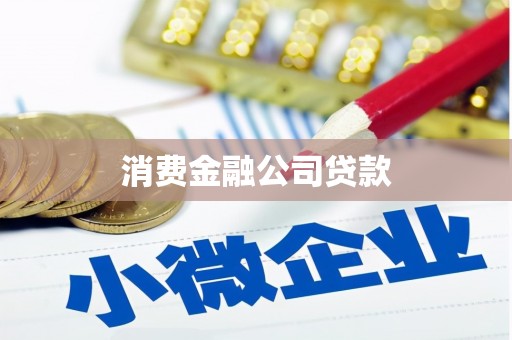 定陶消费金融公司贷款