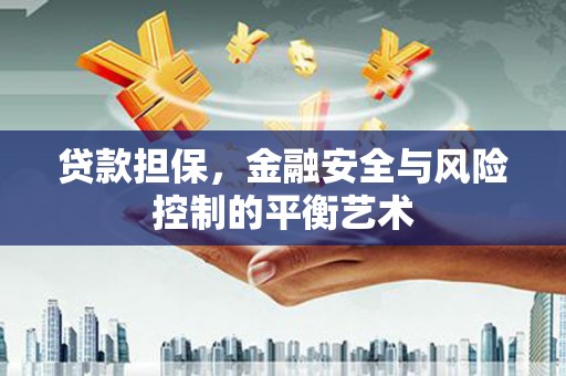 定陶贷款担保，金融安全与风险控制的平衡艺术