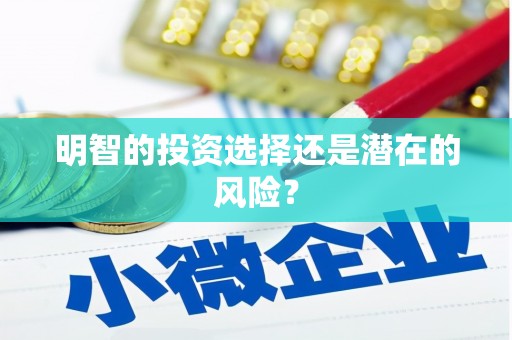 定陶明智的投资选择还是潜在的风险？
