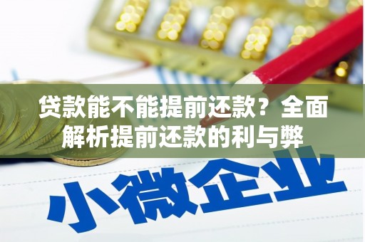 定陶贷款能不能提前还款？全面解析提前还款的利与弊