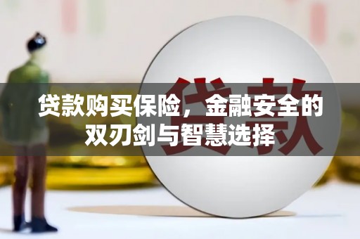 定陶贷款购买保险，金融安全的双刃剑与智慧选择