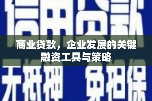 定陶商业贷款，企业发展的关键融资工具与策略