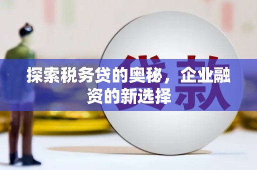 定陶探索税务贷的奥秘，企业融资的新选择