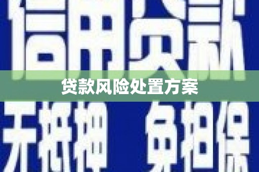 定陶贷款风险处置方案