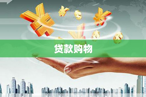 定陶贷款购物