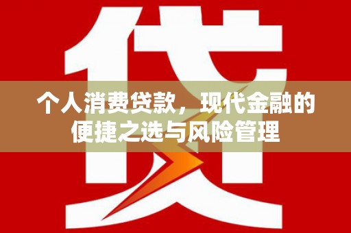 定陶个人消费贷款，现代金融的便捷之选与风险管理
