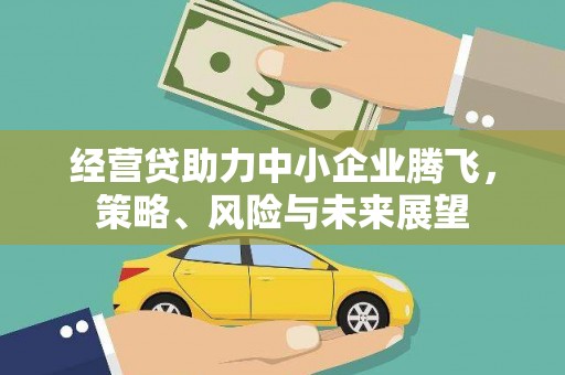 定陶经营贷助力中小企业腾飞，策略、风险与未来展望