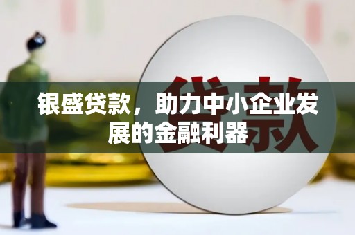 定陶银盛贷款，助力中小企业发展的金融利器