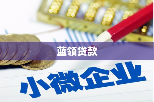 定陶蓝领贷款