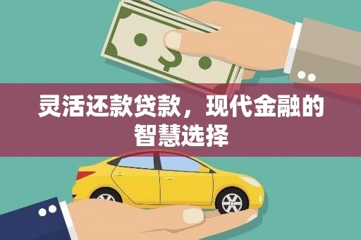 定陶灵活还款贷款，现代金融的智慧选择