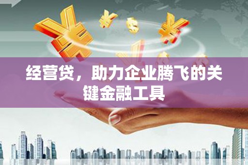 定陶经营贷，助力企业腾飞的关键金融工具