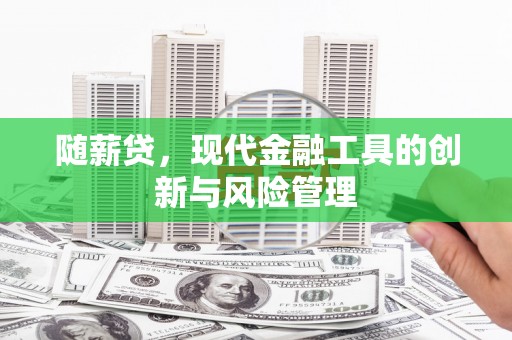 定陶随薪贷，现代金融工具的创新与风险管理