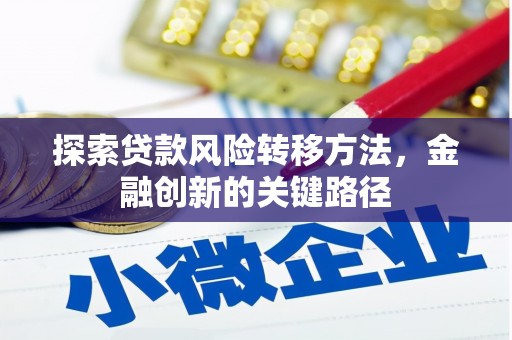 定陶探索贷款风险转移方法，金融创新的关键路径