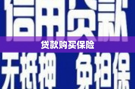 定陶贷款购买保险