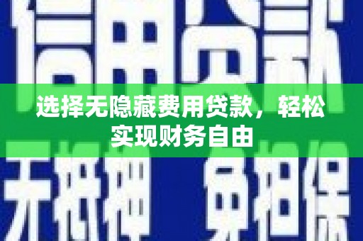 定陶选择无隐藏费用贷款，轻松实现财务自由