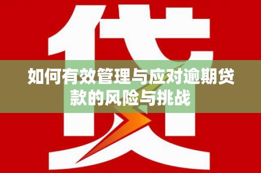 定陶如何有效管理与应对逾期贷款的风险与挑战