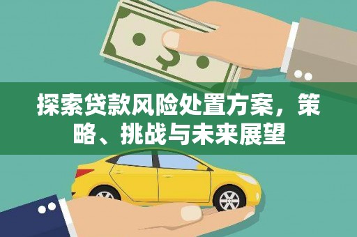 定陶探索贷款风险处置方案，策略、挑战与未来展望
