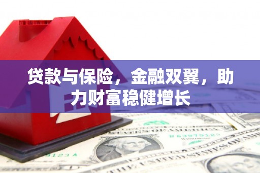定陶贷款与保险，金融双翼，助力财富稳健增长