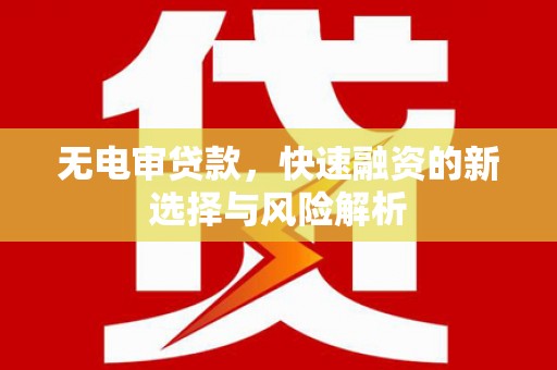 定陶无电审贷款，快速融资的新选择与风险解析