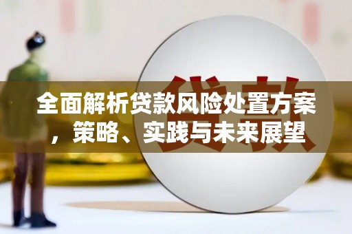 定陶全面解析贷款风险处置方案，策略、实践与未来展望