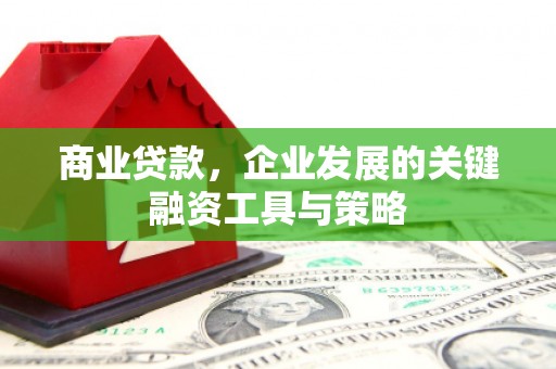 定陶商业贷款，企业发展的关键融资工具与策略