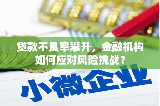 定陶贷款不良率攀升，金融机构如何应对风险挑战？