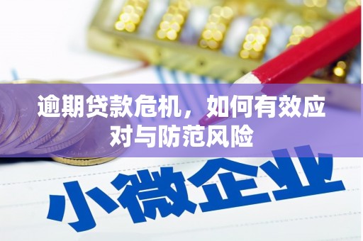 定陶逾期贷款危机，如何有效应对与防范风险