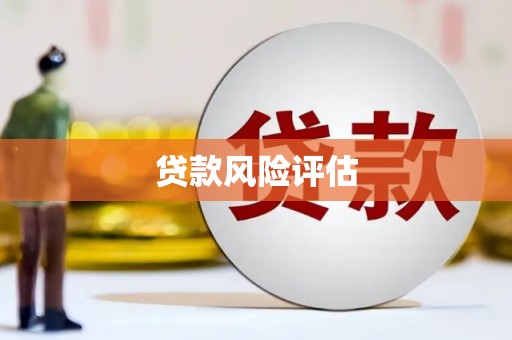 定陶贷款风险评估