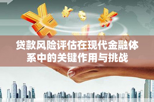 定陶贷款风险评估在现代金融体系中的关键作用与挑战