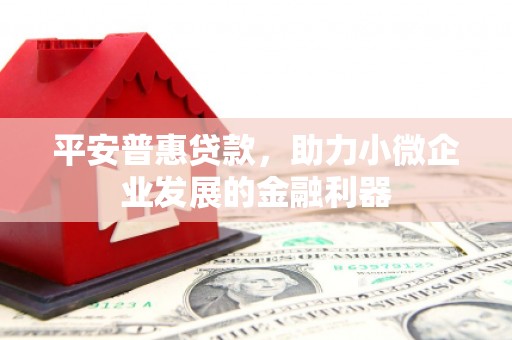 定陶平安普惠贷款，助力小微企业发展的金融利器