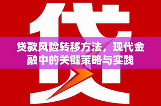 定陶贷款风险转移方法，现代金融中的关键策略与实践