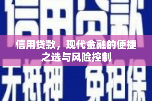 定陶信用贷款，现代金融的便捷之选与风险控制