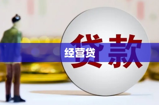 定陶经营贷