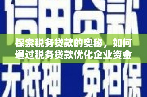 定陶探索税务贷款的奥秘，如何通过税务贷款优化企业资金流