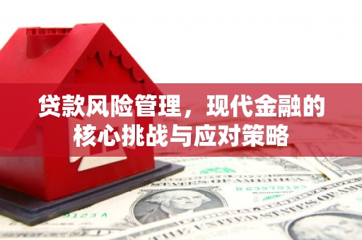 定陶贷款风险管理，现代金融的核心挑战与应对策略
