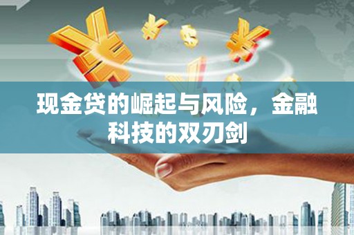 定陶现金贷的崛起与风险，金融科技的双刃剑
