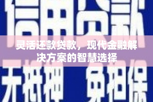 定陶灵活还款贷款，现代金融解决方案的智慧选择