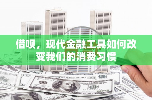 定陶借呗，现代金融工具如何改变我们的消费习惯