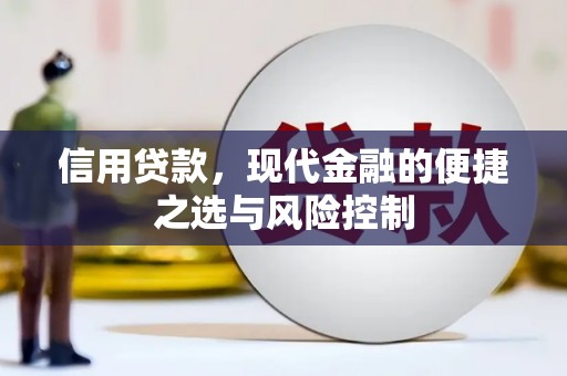 定陶信用贷款，现代金融的便捷之选与风险控制