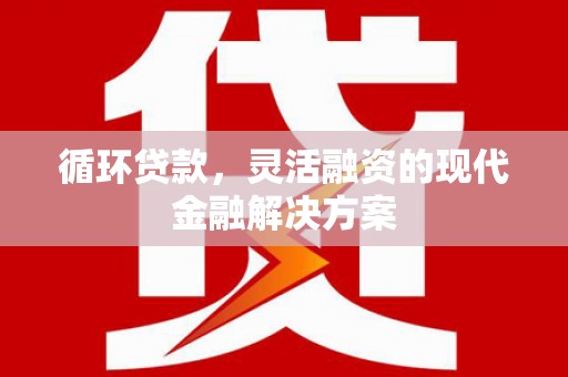 定陶循环贷款，灵活融资的现代金融解决方案
