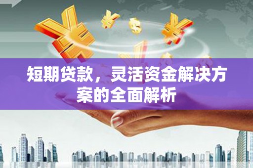 定陶短期贷款，灵活资金解决方案的全面解析